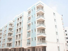 �����T�������