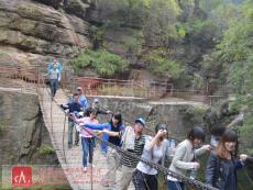 �����T���L��