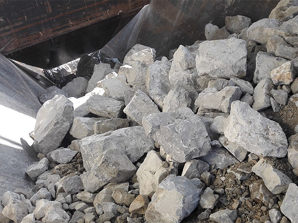 喂料現(xiàn)場(chǎng)