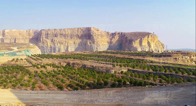 濟南平陰縣永發石料有限公司時產1000噸石子生產線綠化