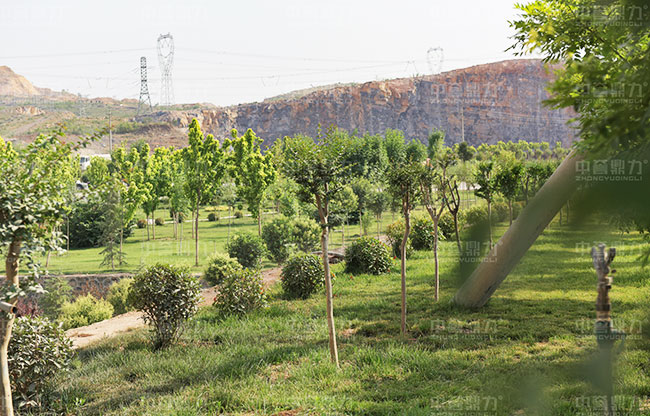 �Vɽ�ޏ�(f��)����